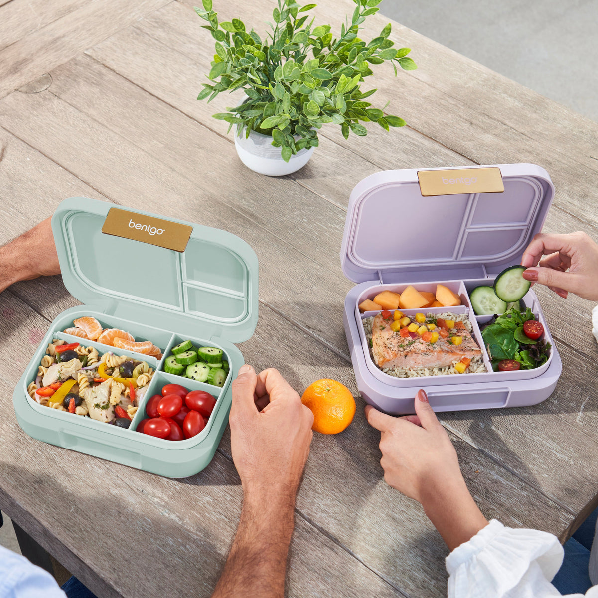 bentgo-modern-lunch-box-2-pack-c3 COSTCOBMCPRODUCTIMAGE_2.jpg